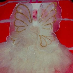 Brand new never worn